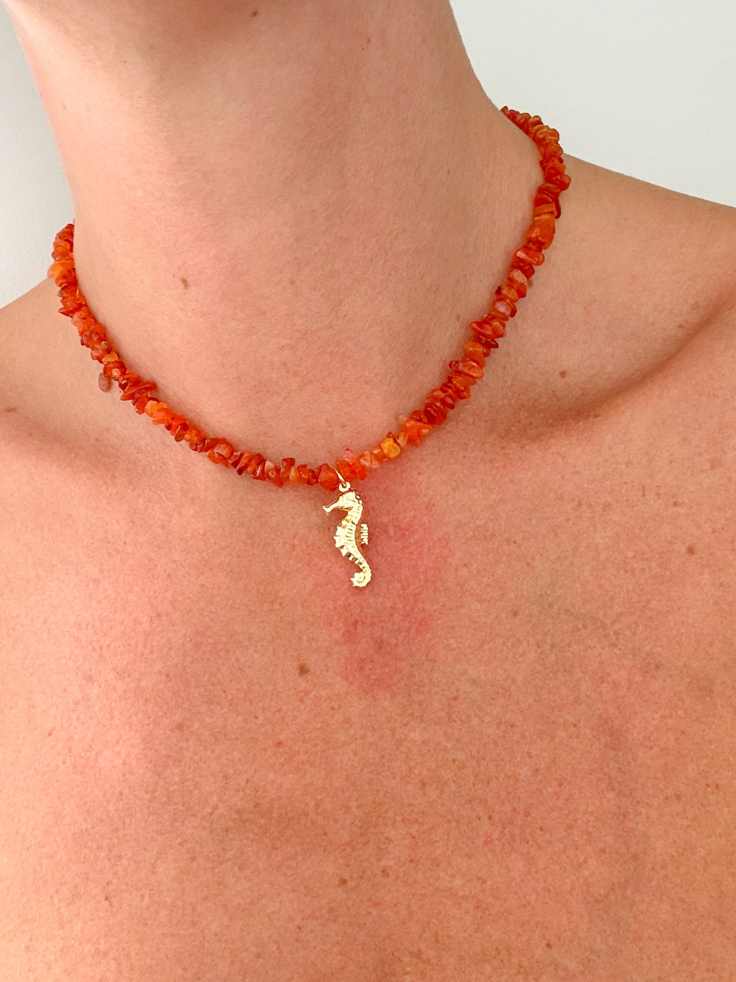 Seahorse Charm - Natural Carnelian Gemstone