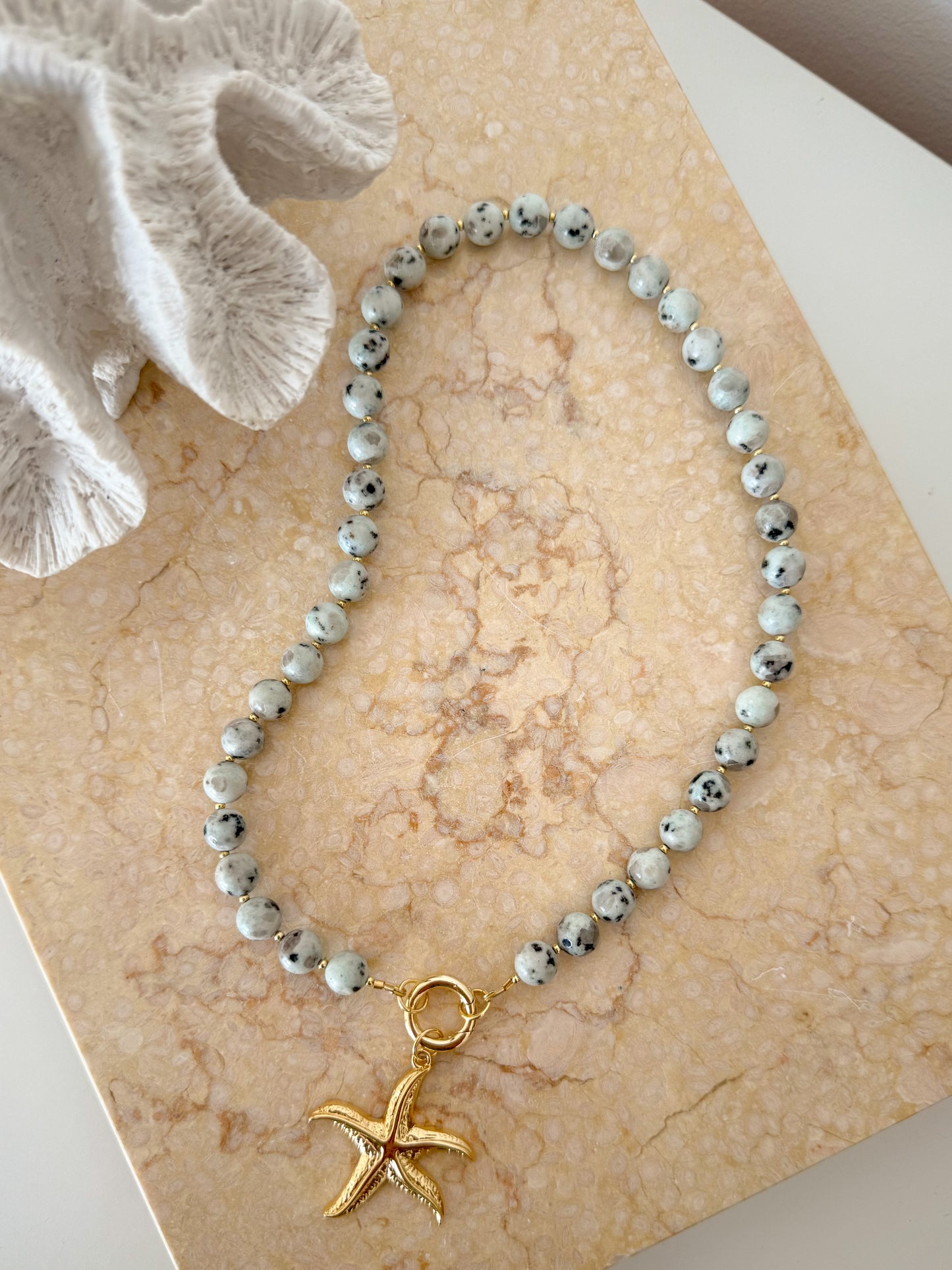 NEW Kiwi Jasper